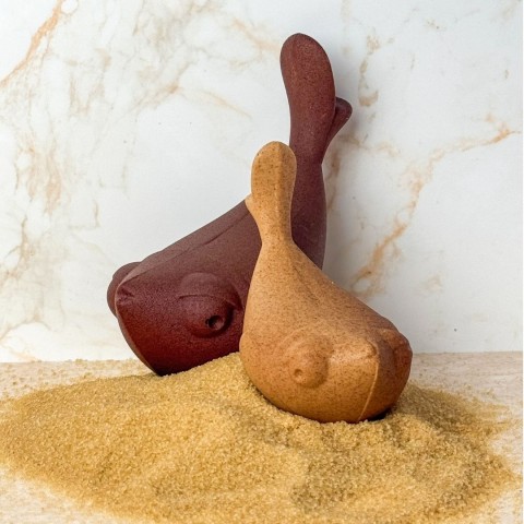 Simon - le petit poisson